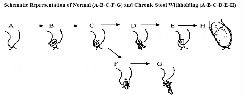 Non-retentive Fecal Incontinence - About Kids GI